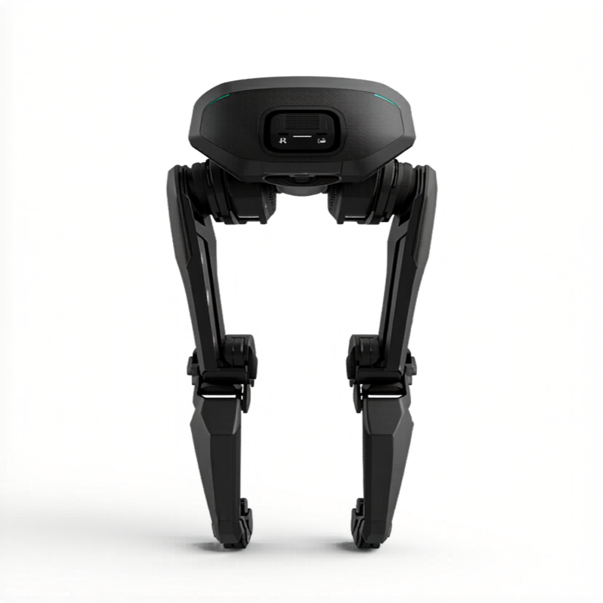 XOWALKER Basic — Back